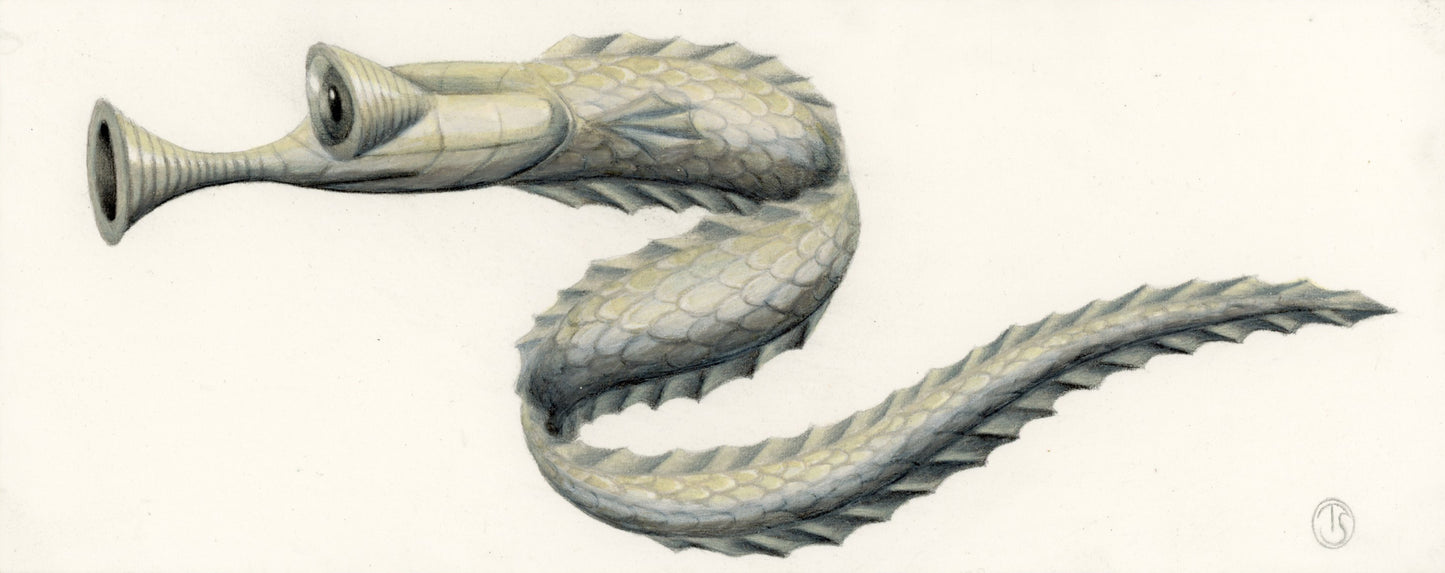 Tuva Synnevåg: Sadfish ORIGINALTEGNING