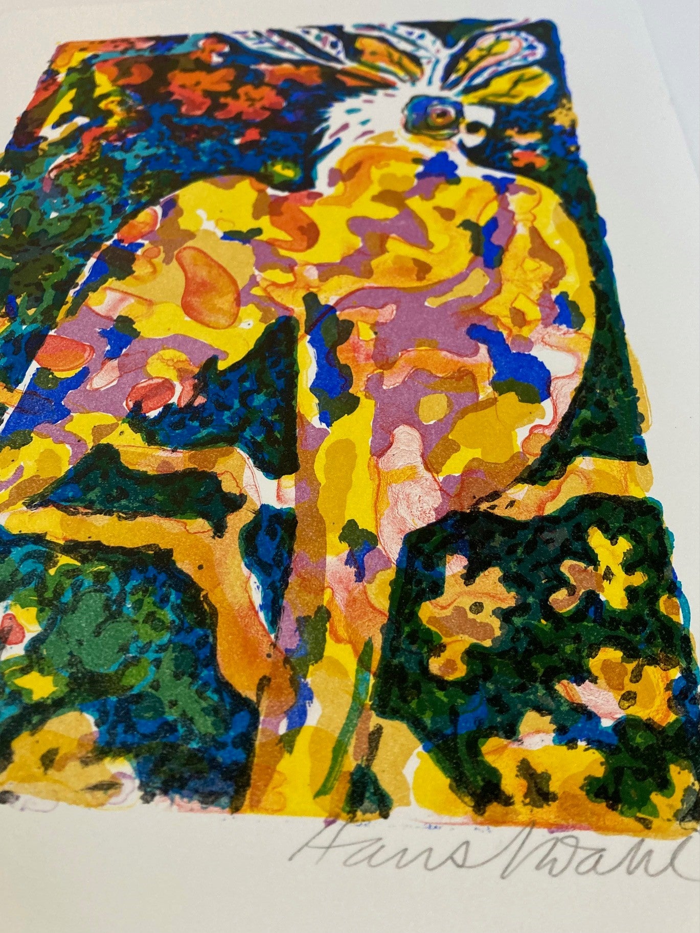 Hans Normann Dahl: Papegøye