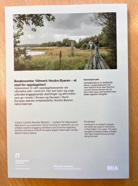 Notatbok - Hjertetjønnaks