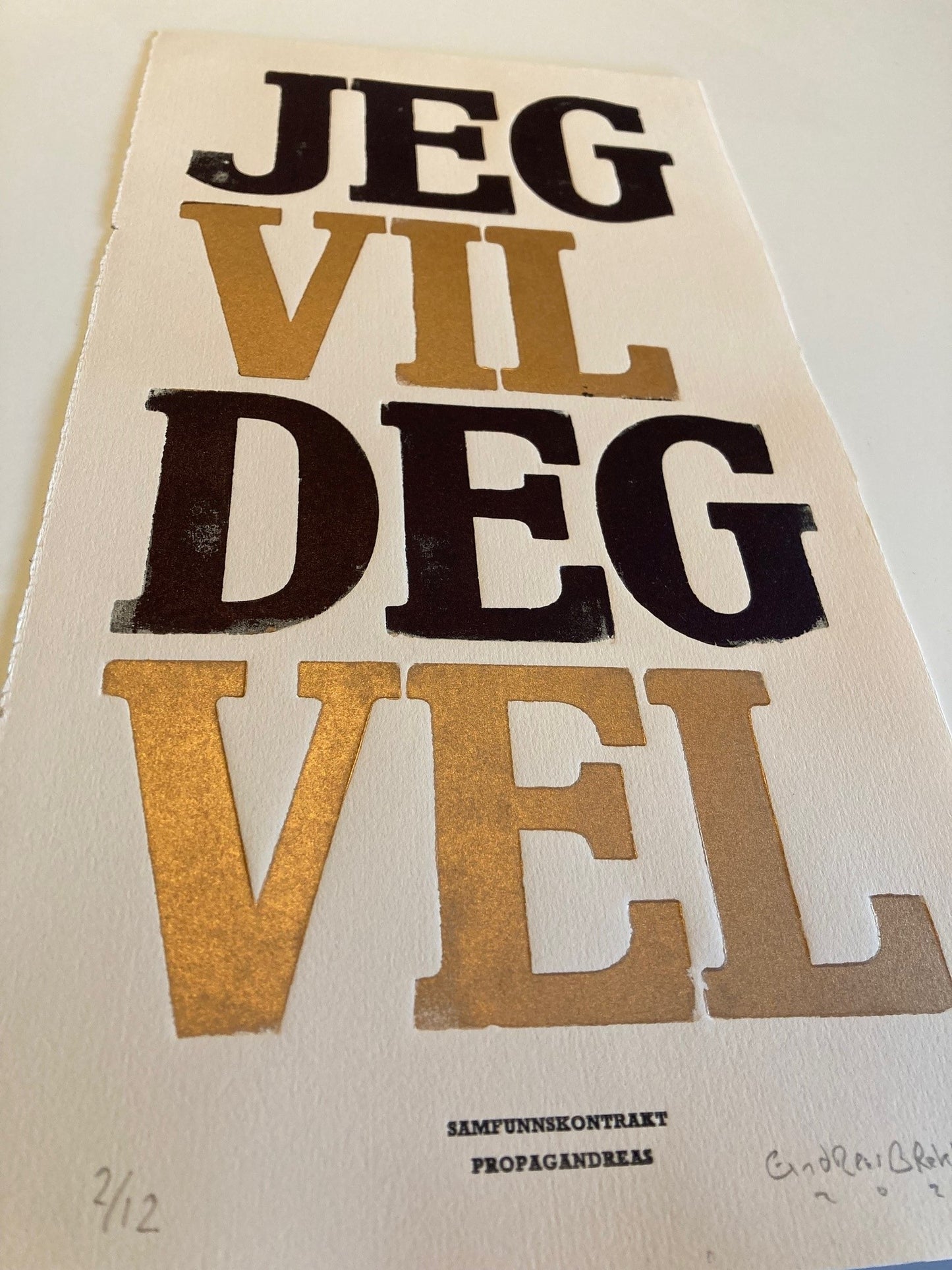 Andreas Brekke: Samfunnskontrakt