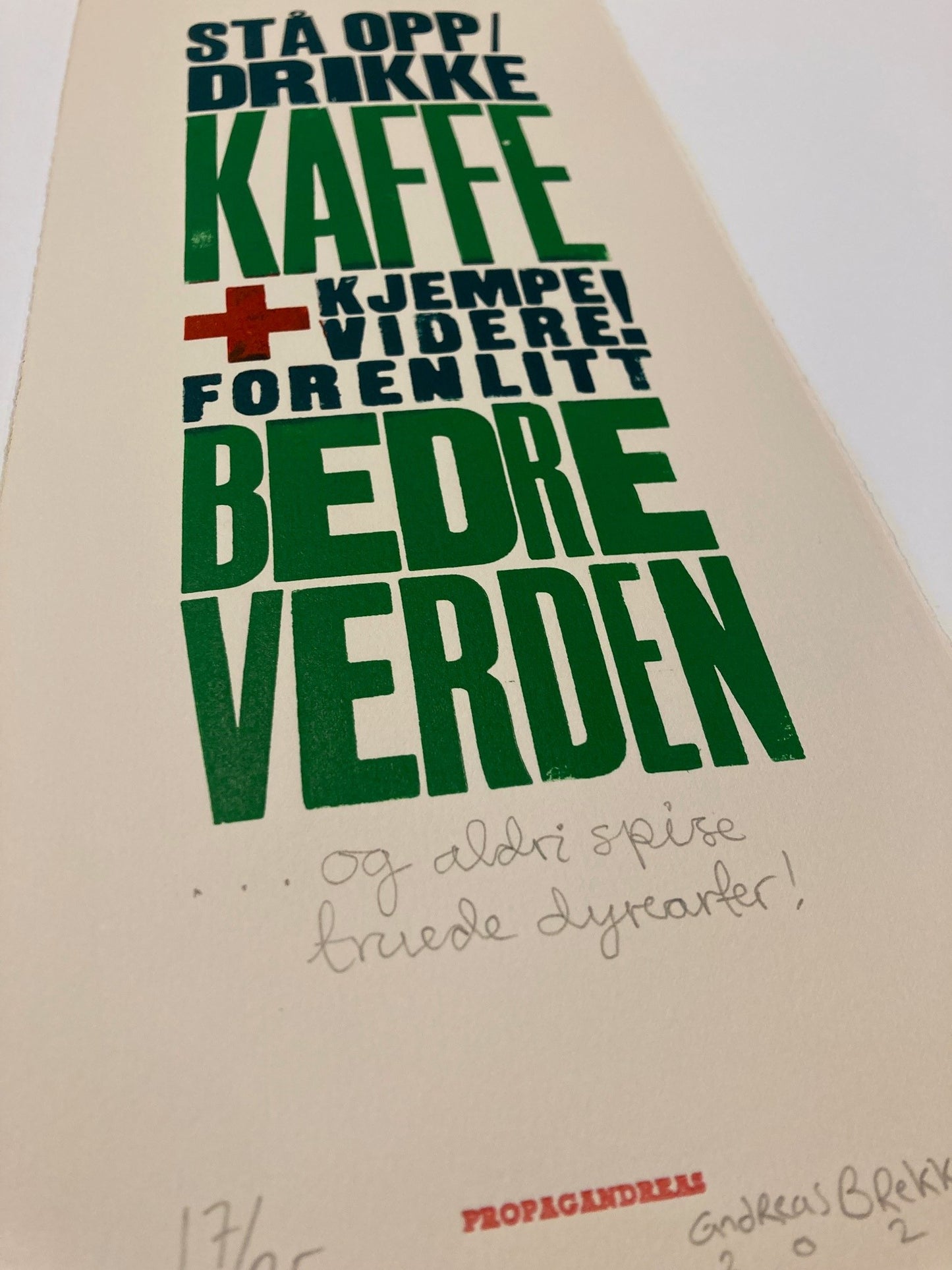 Andreas Brekke: Kjempe videre