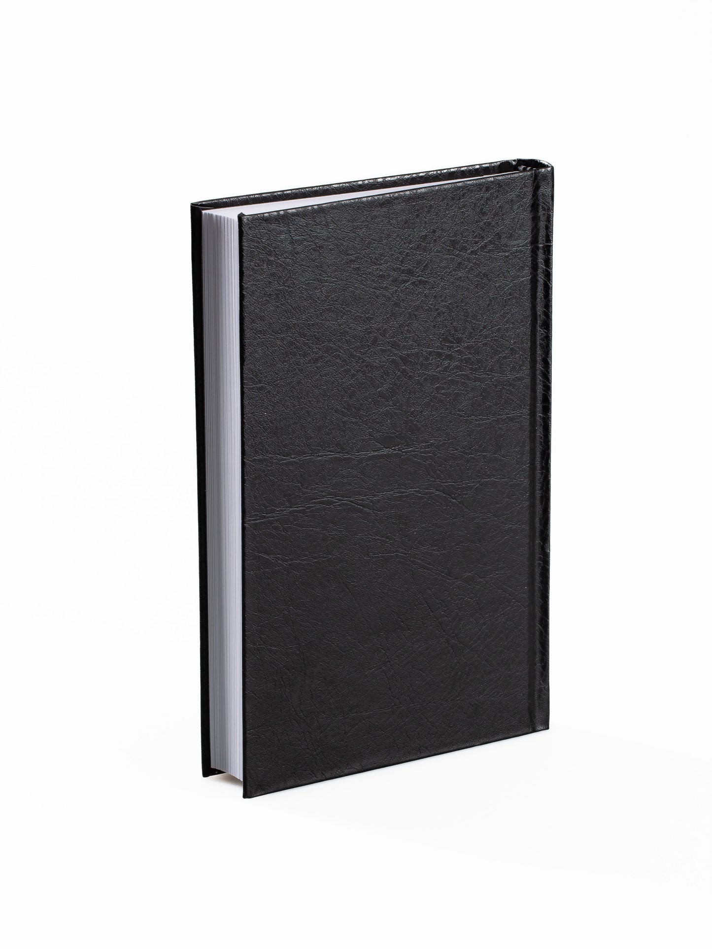 Roald Amundsens dagbok