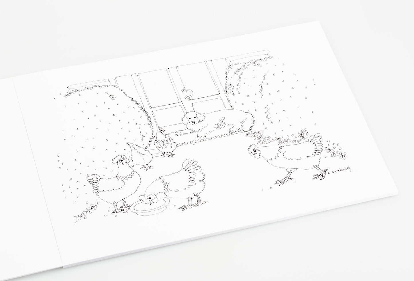 Fargeleggingsbok - Hønene i museumshagen