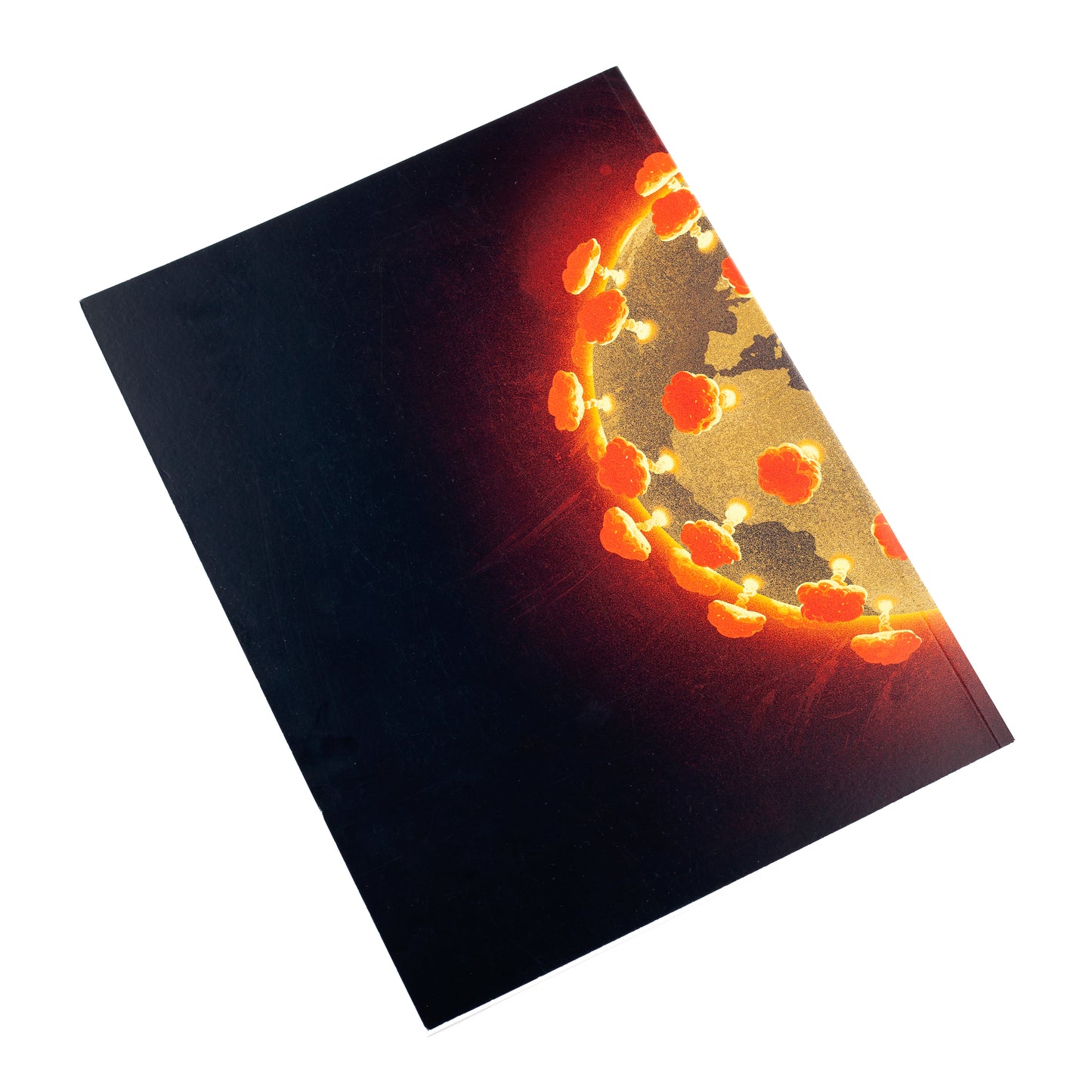 Avistegnernes årskavalkade 2020