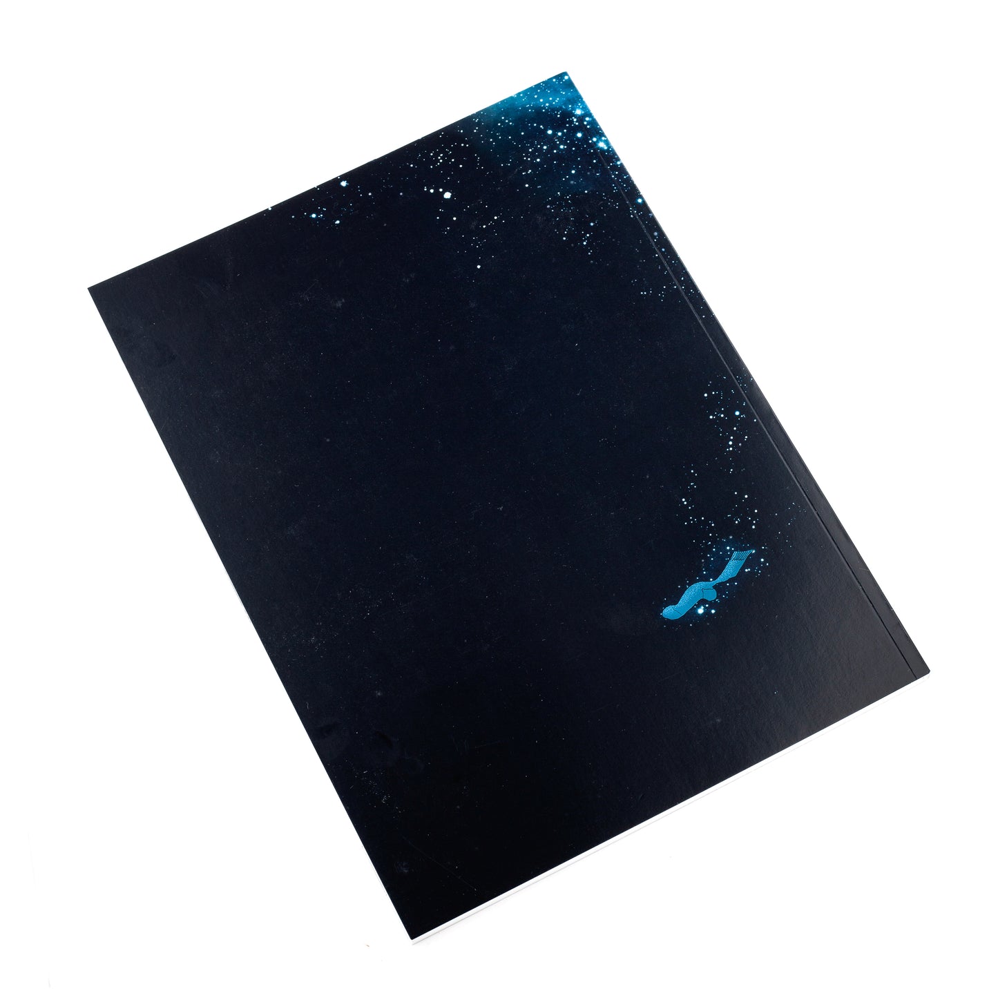 Avistegnernes årskavalkade 2021