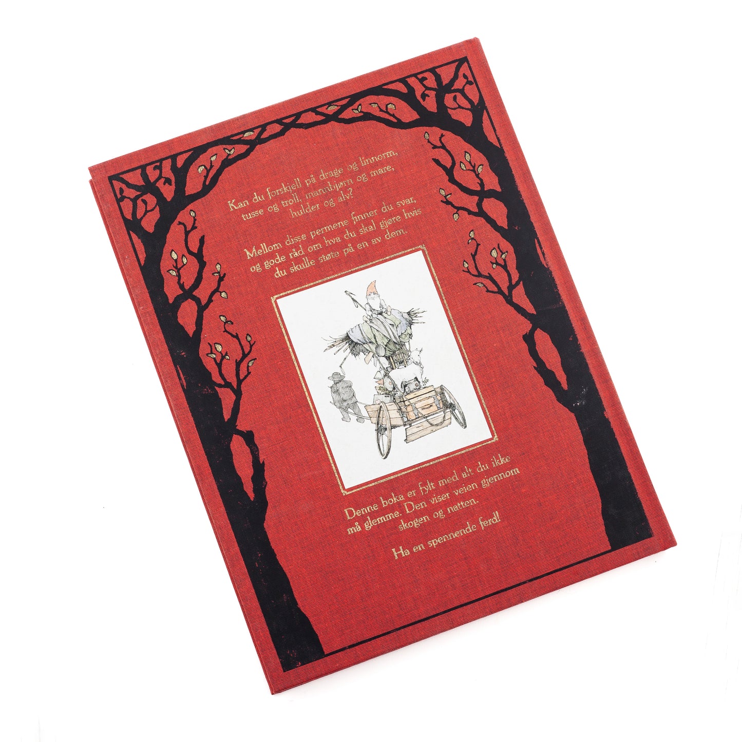 Den store norske glemmeboka - om nisser, troll og vetter