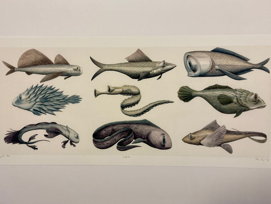 Tuva Synnevåg: Sadfish